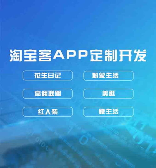 软件私人定制app开发公司有哪些